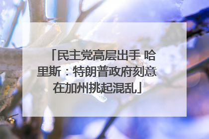 民主党高层出手 哈里斯：特朗普政府刻意在加州挑起混乱