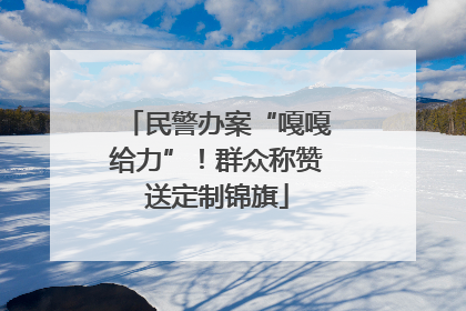民警办案“嘎嘎给力”！群众称赞送定制锦旗