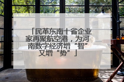 民革东南十省企业家再聚航空港，为河南数字经济增“智”又增“势”