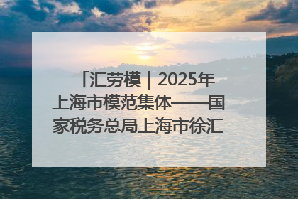 汇劳模｜2025年上海市模范集体——国家税务总局上海市徐汇区税务局第一税务所