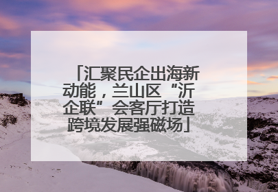 汇聚民企出海新动能，兰山区“沂企联”会客厅打造跨境发展强磁场