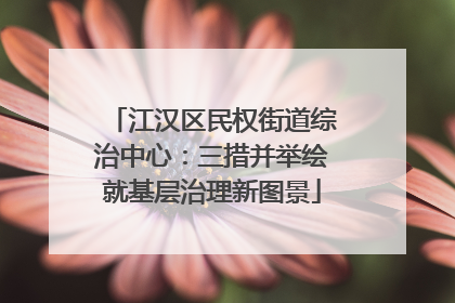 江汉区民权街道综治中心：三措并举绘就基层治理新图景