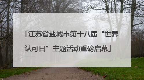 江苏省盐城市第十八届“世界认可日”主题活动重磅启幕