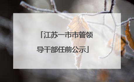 江苏一市市管领导干部任前公示