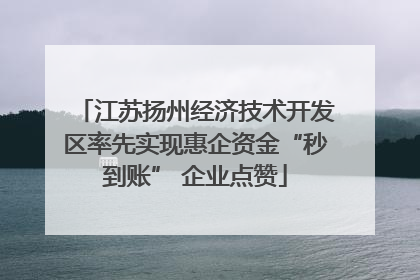 江苏扬州经济技术开发区率先实现惠企资金“秒到账” 企业点赞