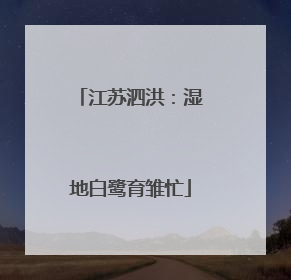 江苏泗洪：湿地白鹭育雏忙