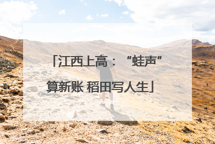 江西上高：“蛙声”算新账 稻田写人生