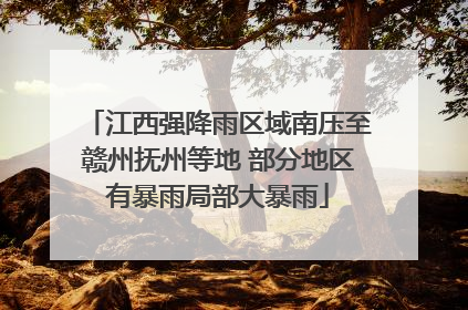 江西强降雨区域南压至赣州抚州等地 部分地区有暴雨局部大暴雨