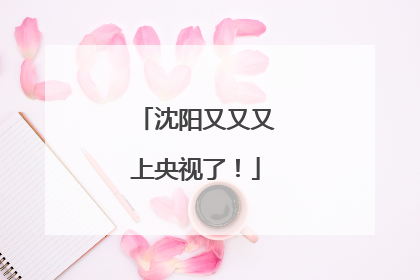 沈阳又又又上央视了！