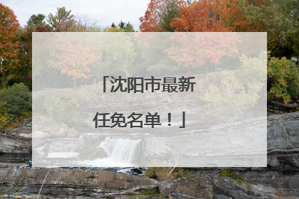 沈阳市最新任免名单！