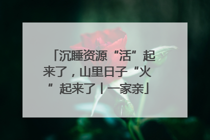沉睡资源“活”起来了，山里日子“火”起来了丨一家亲