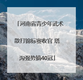 河南省青少年武术散打锦标赛收官 塔沟强势摘40冠