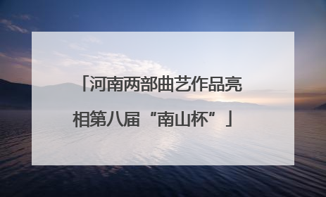 河南两部曲艺作品亮相第八届“南山杯”