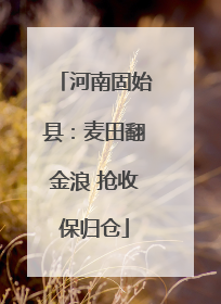 河南固始县：麦田翻金浪 抢收保归仓