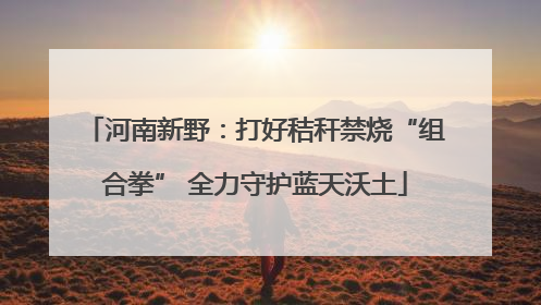 河南新野：打好秸秆禁烧“组合拳” 全力守护蓝天沃土
