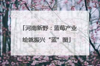 河南新野：蓝莓产业绘就振兴“蓝”图
