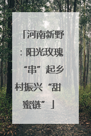 河南新野：阳光玫瑰“串”起乡村振兴“甜蜜链”