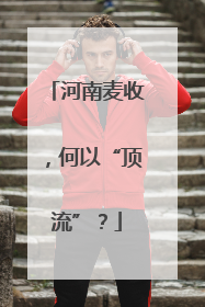 河南麦收，何以“顶流”？