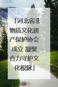 河北省非物质文化遗产保护协会成立 凝聚合力守护文化根脉