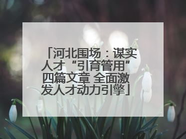 河北围场：谋实人才“引育管用”四篇文章 全面激发人才动力引擎