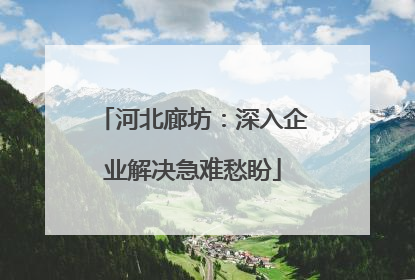河北廊坊：深入企业解决急难愁盼