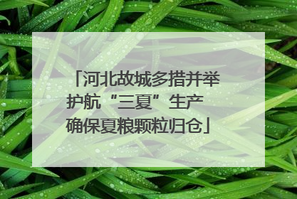 河北故城多措并举护航“三夏”生产 确保夏粮颗粒归仓