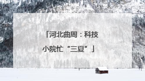 河北曲周：科技小院忙“三夏”