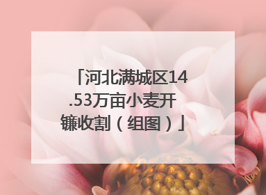 河北满城区14.53万亩小麦开镰收割（组图）