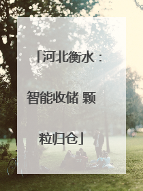 河北衡水：智能收储 颗粒归仓