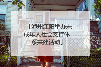 泸州江阳举办未成年人社会支持体系共建活动