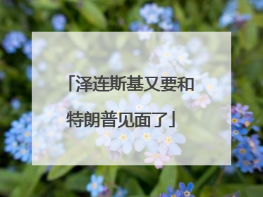 泽连斯基又要和特朗普见面了