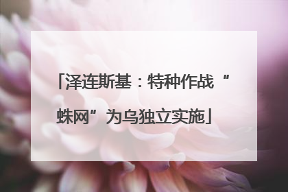 泽连斯基：特种作战“蛛网”为乌独立实施
