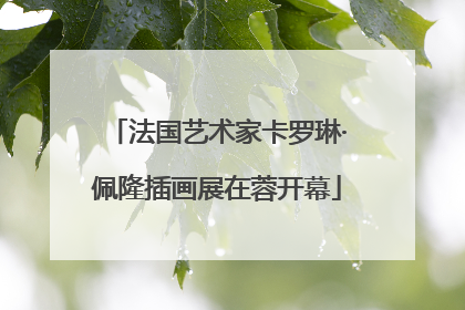 法国艺术家卡罗琳·佩隆插画展在蓉开幕