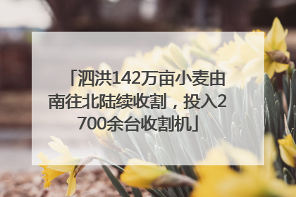 泗洪142万亩小麦由南往北陆续收割，投入2700余台收割机