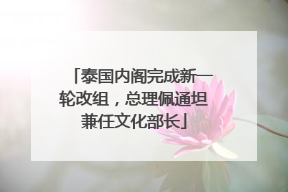 泰国内阁完成新一轮改组，总理佩通坦兼任文化部长