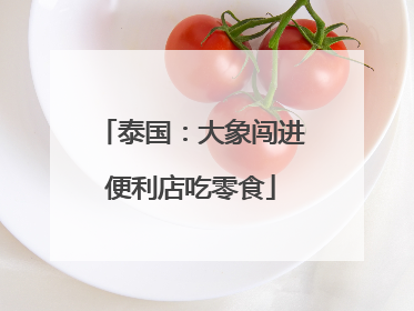 泰国：大象闯进便利店吃零食