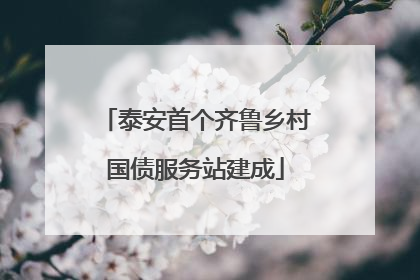 泰安首个齐鲁乡村国债服务站建成