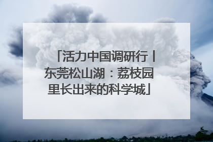 活力中国调研行丨东莞松山湖：荔枝园里长出来的科学城