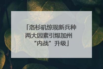 洛杉矶惊现新兵种 两大因素引爆加州“内战”升级