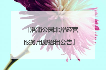 洛浦公园北岸经营服务用房招租公告