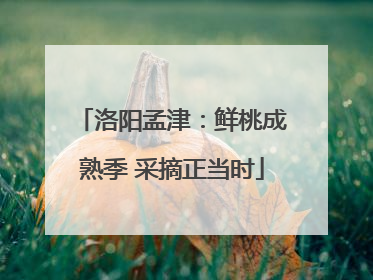 洛阳孟津：鲜桃成熟季 采摘正当时