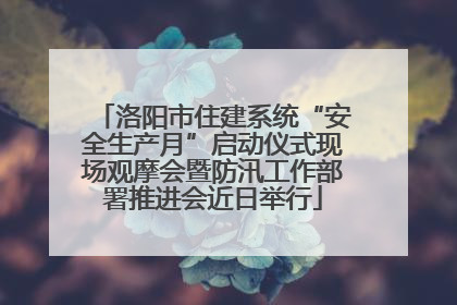 洛阳市住建系统“安全生产月”启动仪式现场观摩会暨防汛工作部署推进会近日举行