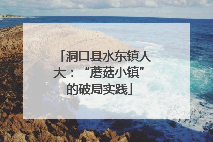洞口县水东镇人大：“蘑菇小镇”的破局实践