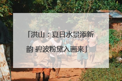 洪山：夏日水景添新韵 碧波粉黛入画来