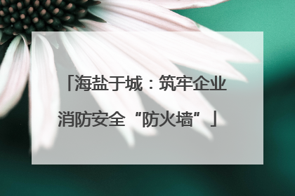 海盐于城：筑牢企业消防安全“防火墙”