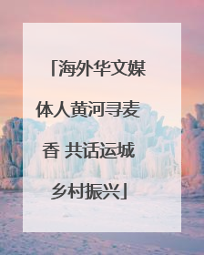 海外华文媒体人黄河寻麦香 共话运城乡村振兴