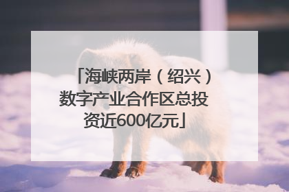 海峡两岸（绍兴）数字产业合作区总投资近600亿元