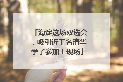 海淀这场双选会，吸引近千名清华学子参加！现场
