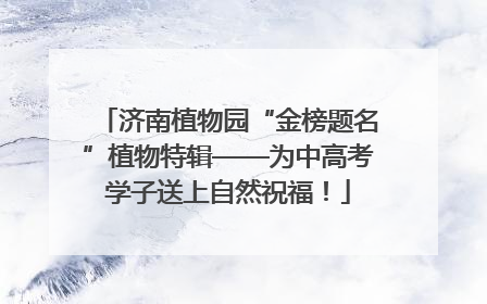 济南植物园“金榜题名”植物特辑——为中高考学子送上自然祝福！