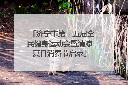 济宁市第十五届全民健身运动会暨清凉夏日消费节启幕